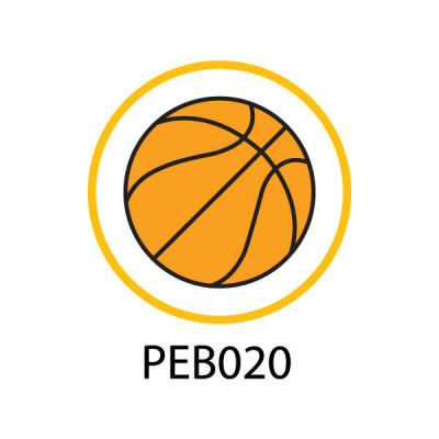 Pebble Patches - PEB020 - Basketball Thumbnail