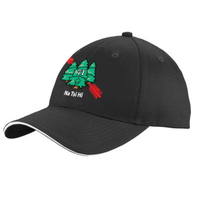 PC90H - M133-S1.0-2017 - EMB - Monmouth Council Na Tsi Hi Lodge Sandwich Cap Thumbnail